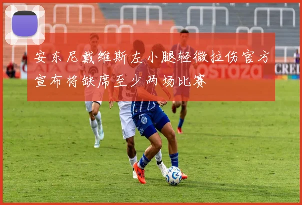 安东尼戴维斯左小腿轻微拉伤官方宣布将缺席至少两场比赛