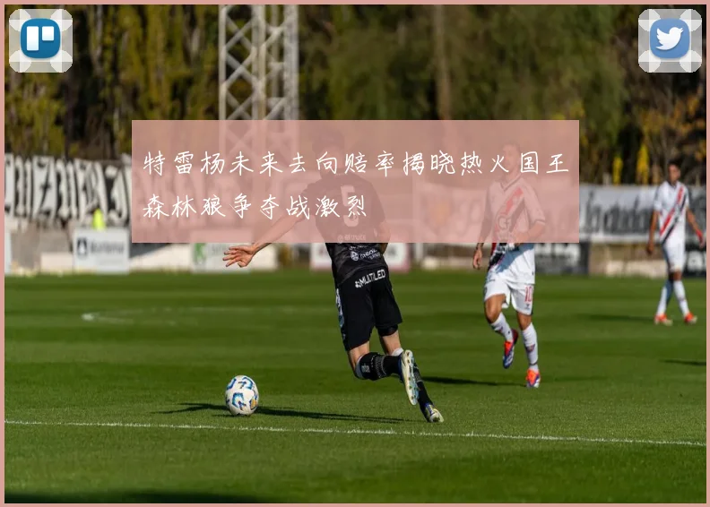 特雷杨未来去向赔率揭晓热火国王森林狼争夺战激烈