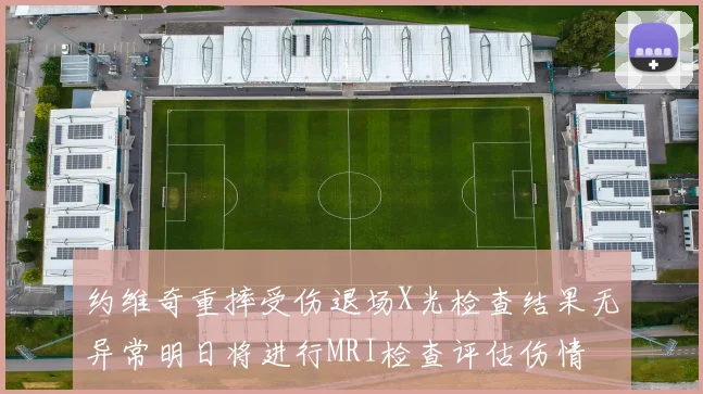 约维奇重摔受伤退场X光检查结果无异常明日将进行MRI检查评估伤情