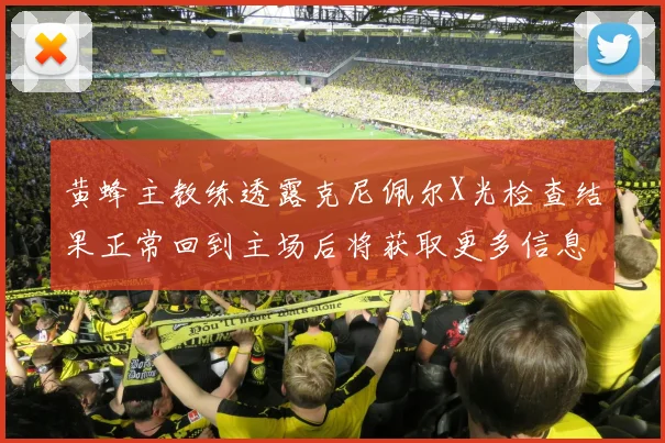 黄蜂主教练透露克尼佩尔X光检查结果正常回到主场后将获取更多信息