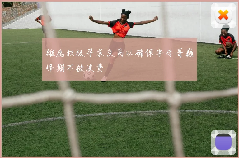 雄鹿积极寻求交易以确保字母哥巅峰期不被浪费