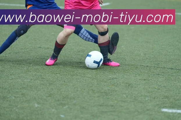 宝威体育服务体系